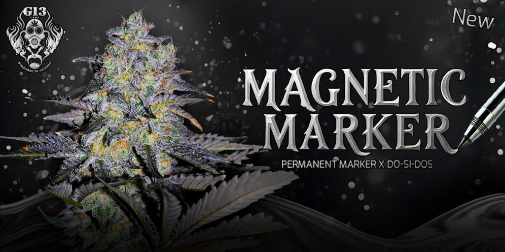 attitude-g13-magneticmarker-jan25-slider1