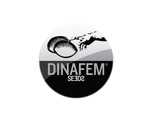 theseedbank_dinafem2-min
